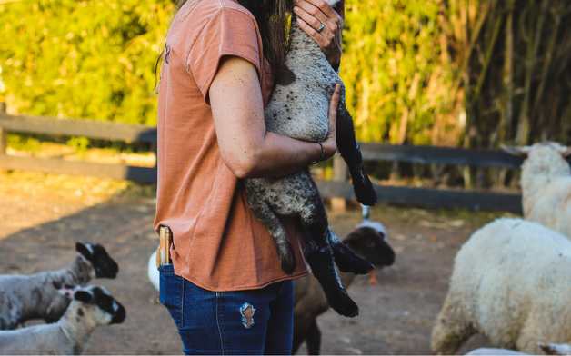 Design sem nome (46)