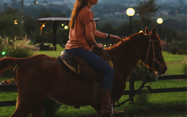 Design sem nome (48)