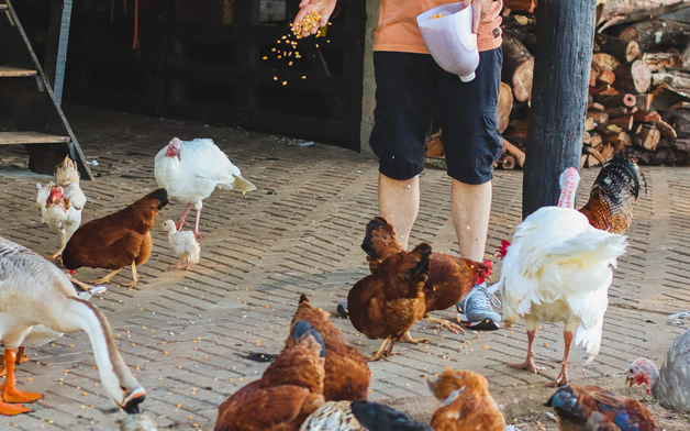 Design sem nome (49)